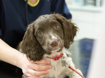 Vets Now Dundee Inside Parkside Veterinary Clinic