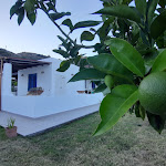 Photo n°30 de l'avis de Roberto.c fait le 08/08/2020 à 13:59 sur le  Hotel Bougainville Lipari à Lipari