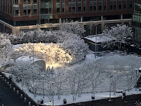 Cynthia Abatt Photography - Photo 9 - Car repair in , Boston