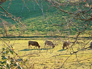 Photo n°25 de L'Embuscade à Chilhac ()