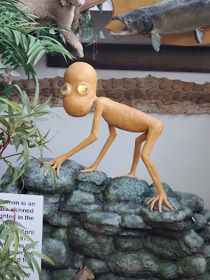 International Cryptozoology Museum - photo 57