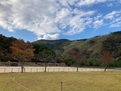 野球場