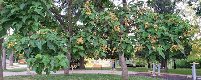 Fitnesz park - Csónakázó tó - Szombathely