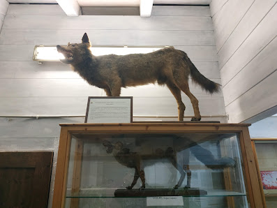 Museo del lupo 85059 Viggiano PZ, Italia