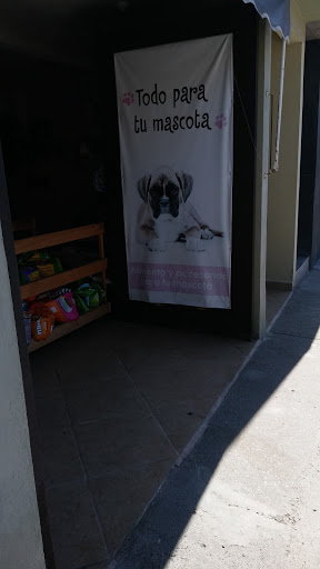 Pet Shop Dogs