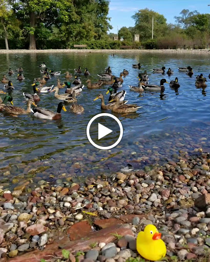 Historical Landmark «Villa Louis», reviews and photos, 521 N Villa Louis Rd, Prairie du Chien, WI 53821, USA