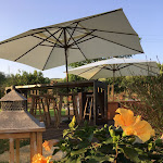 Photo n°3 de l'avis de Elide.a fait le 06/10/2018 à 21:39 sur le  Bubula, cucina di Maremma à Scarlino