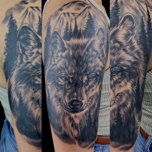 Tattoo Shop «Moth Studio», reviews and photos, 428 W Commercial St, Springfield, MO 65803, USA