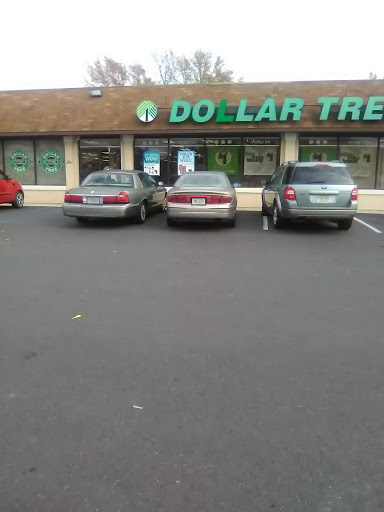 Dollar Store «Dollar Tree», reviews and photos, 736 Mantua Pike, Woodbury Heights, NJ 08097, USA