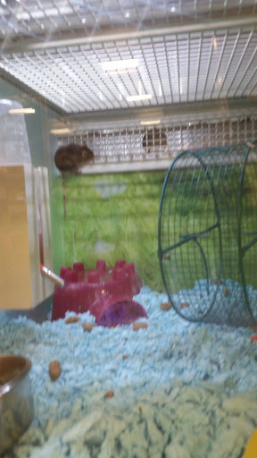 Pet Supply Store «PetSmart», reviews and photos, 2861 Veterans Memorial Pkwy, St Charles, MO 63303, USA