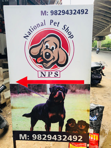 National Pet Shop