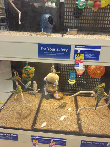 Pet Supply Store Â«PetSmartÂ», reviews and photos, 2101 Elmwood Ave
