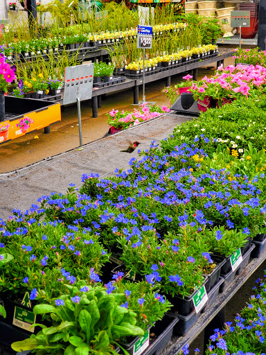 Department Store «Walmart Supercenter», reviews and photos, 100 E Wallace Kneeland Blvd, Shelton, WA 98584, USA