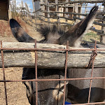 Photo n°2 de l'avis de Cosimo.e fait le 27/08/2021 à 15:08 sur le  Podere Il Casale à Pienza