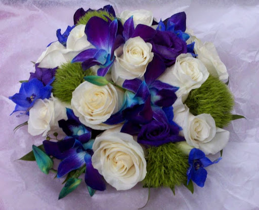 Plant Nursery «A & S Whitestone Nursery», reviews and photos, 2302 Francis Lewis Blvd, Whitestone, NY 11357, USA