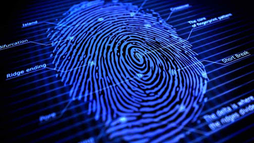All In One Live Scan Fingerprinting & Investigations