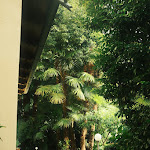 Photo n°1 de l'avis de Helene. fait le 21/07/2023 à 16:51 sur le  Villa Palmira à Cannobio