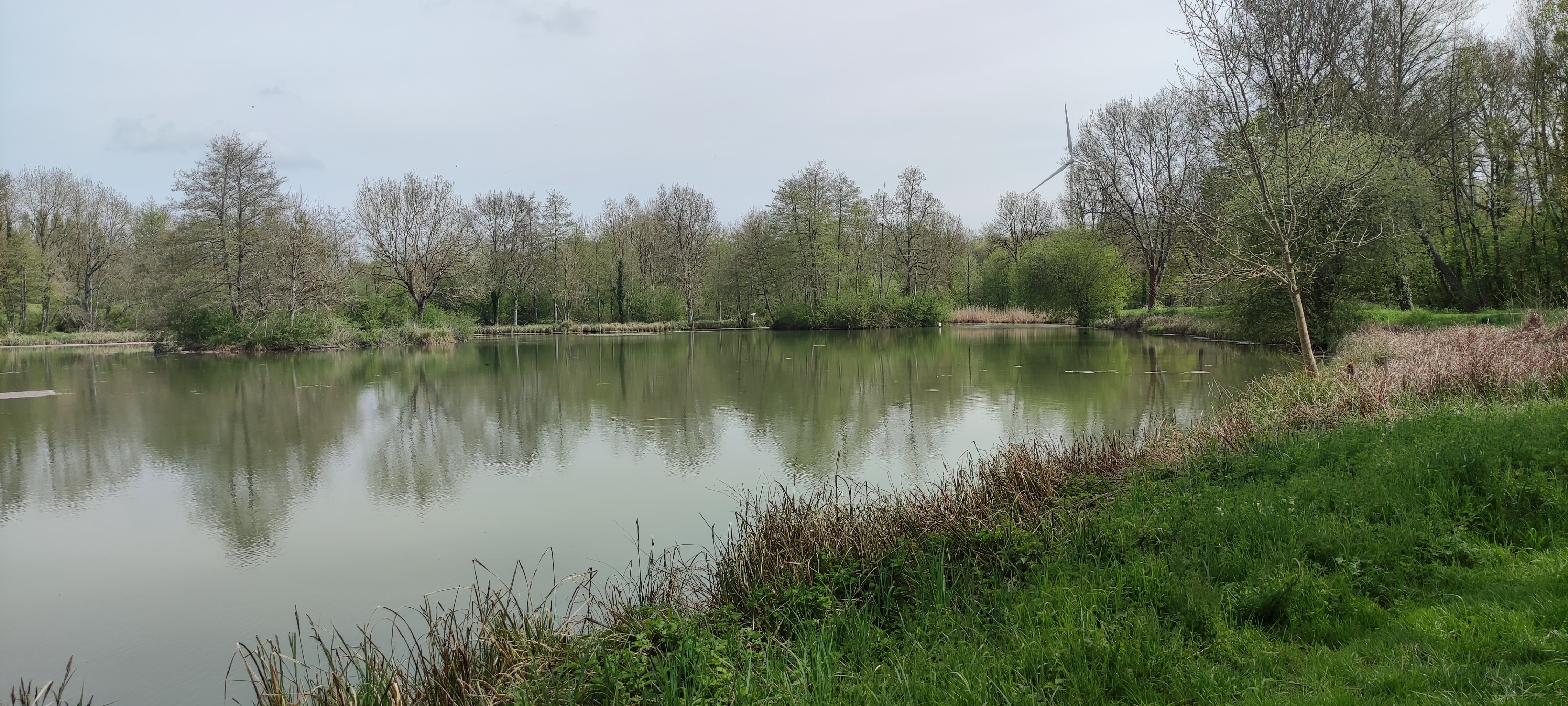 Photo n° 1 de l'avis de Stéphanie. fait le 18/04/2022 à 15:49