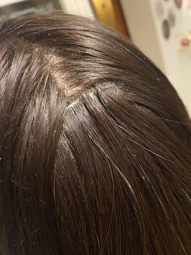 Küçük Resim 1