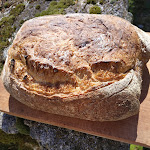 Photo n° 1 de l'avis de Anna.e fait le 15/02/2020 à 12:25 pour L’Espies Joyeux à Boussenac