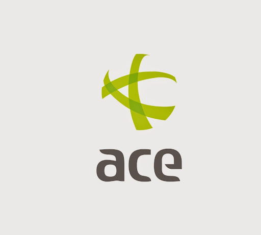 ACE Consultants