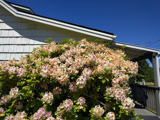 Museum «Cranberry Museum», reviews and photos, 2907 Pioneer Rd, Long Beach, WA 98631, USA