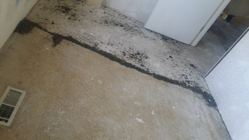 Coffee Shop «Bluebeard Coffee Roasters», reviews and photos, 2201 6th Ave, Tacoma, WA 98403, USA