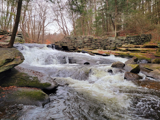 Nature Preserve «Cotton Hollow Preserve», reviews and photos, 493 Hopewell Rd, South Glastonbury, CT 06073, USA