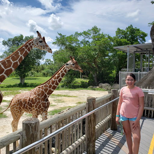 Park «Larry and Penny Thompson Park», reviews and photos, 12451 SW 184th St, Miami, FL 33177, USA