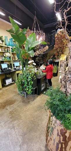 Florist «Mayflowers», reviews and photos, 11959 Market St, Reston, VA 20190, USA