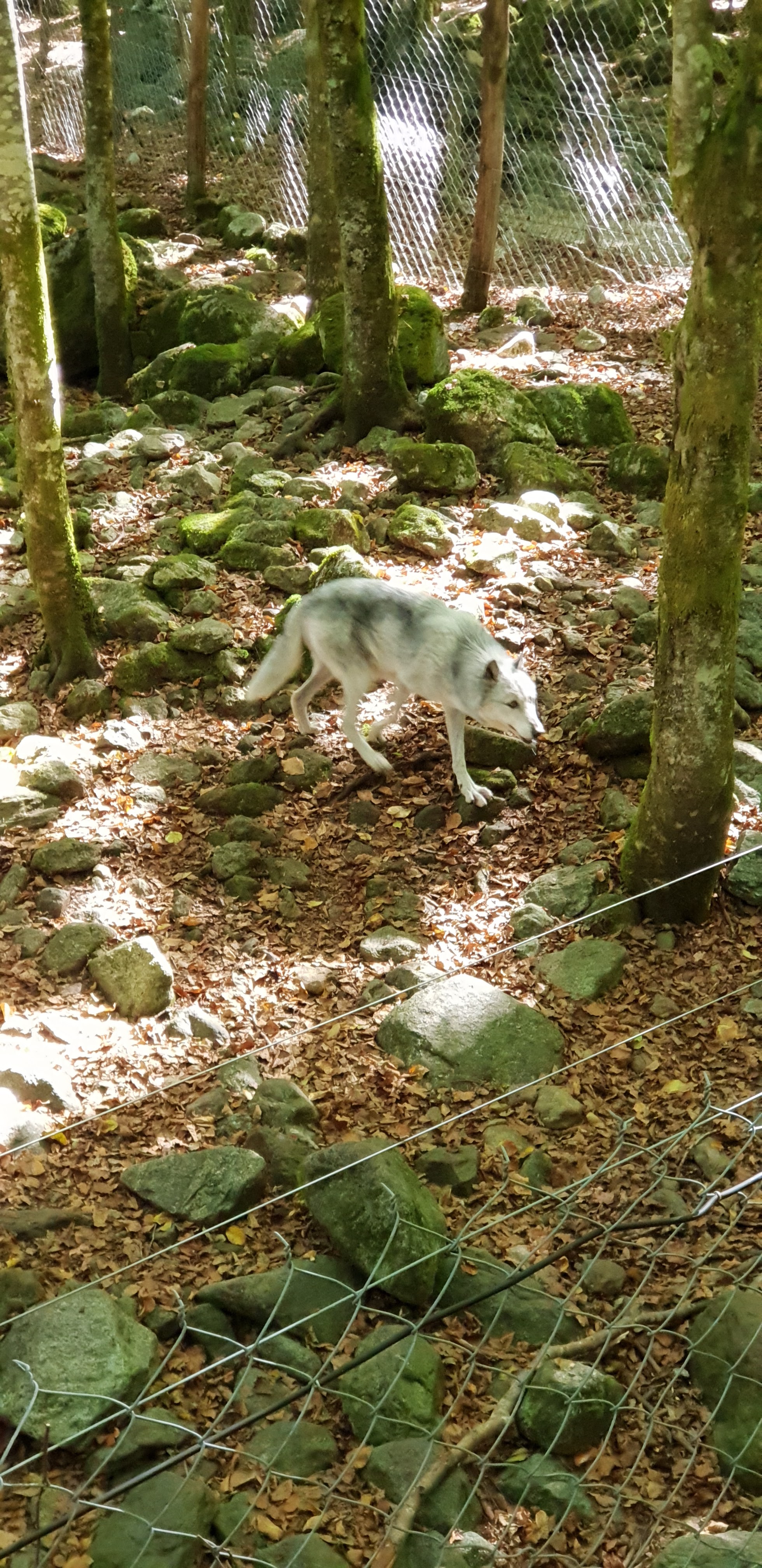 Photo n° 19 de l'avis de Christophe.e fait le 26/09/2018 à 10:29