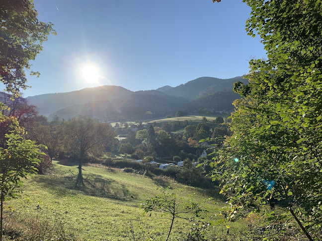 Kommentare und Rezensionen über Feriencamping Badenweiler