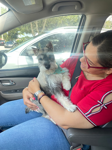 Pet Groomer «Furry Tails Pet Grooming», reviews and photos, 865 Cypress Pkwy, Poinciana, FL 34759, USA