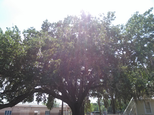 Park «Friendship Park», reviews and photos, 200 W Broadway St, Oviedo, FL 32765, USA