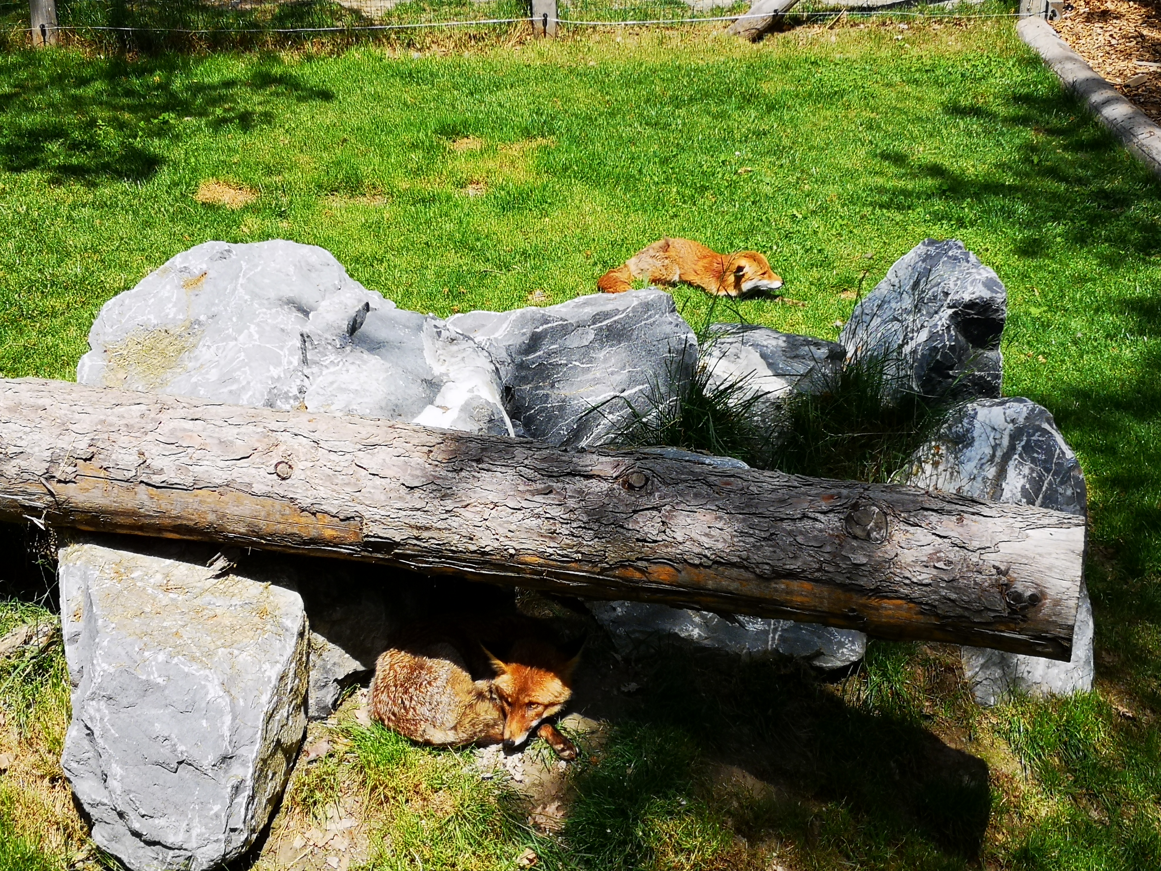 Photo n° 3 de l'avis de Jérome.a fait le 28/05/2022 à 13:53