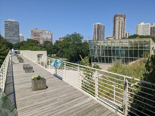 Museum «Peggy Notebaert Nature Museum», reviews and photos, 2430 N Cannon Dr, Chicago, IL 60614, USA