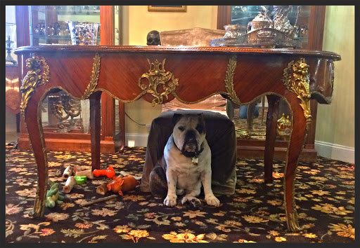 Jeweler «Legacy Jewelry», reviews and photos, 700 N Old Woodward Ave, Birmingham, MI 48009, USA