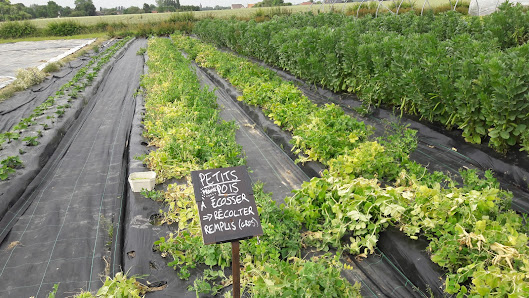 Le Pic-Vert ferme BIO Rue du Toupet 6, 7611 Rumes, Belgique