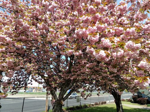 Golf Club «Fisher Park Golf Course», reviews and photos, 823 S 40th Ave, Yakima, WA 98908, USA