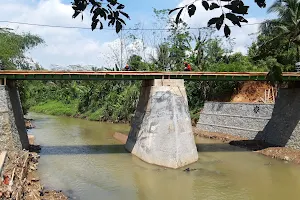 Jembatan pangaur image
