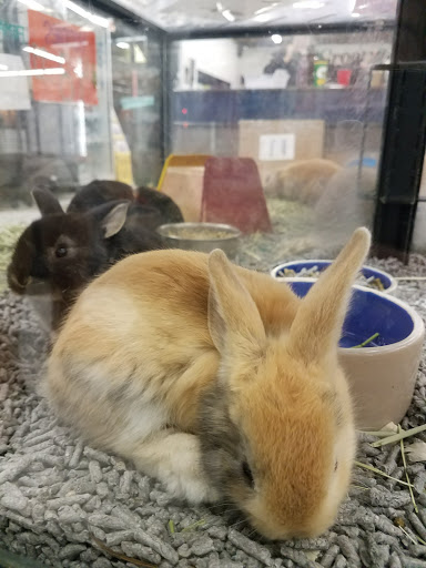 Pet Store «Super Pets», reviews and photos, 9403 E Las Tunas Dr, Temple City, CA 91780, USA