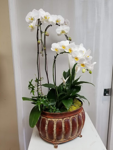 Florist «Yorba Linda Flowers», reviews and photos, 909 E Yorba Linda Blvd h, Placentia, CA 92870, USA