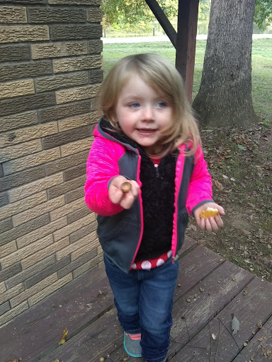 Park «Jaycee Park», reviews and photos, 1681 Airport Rd, Greencastle, IN 46135, USA