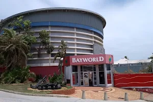 Bayworld image