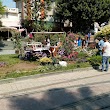 Antalya Büyükşehir Belediyesi Park Bahçeler Şube Müd.