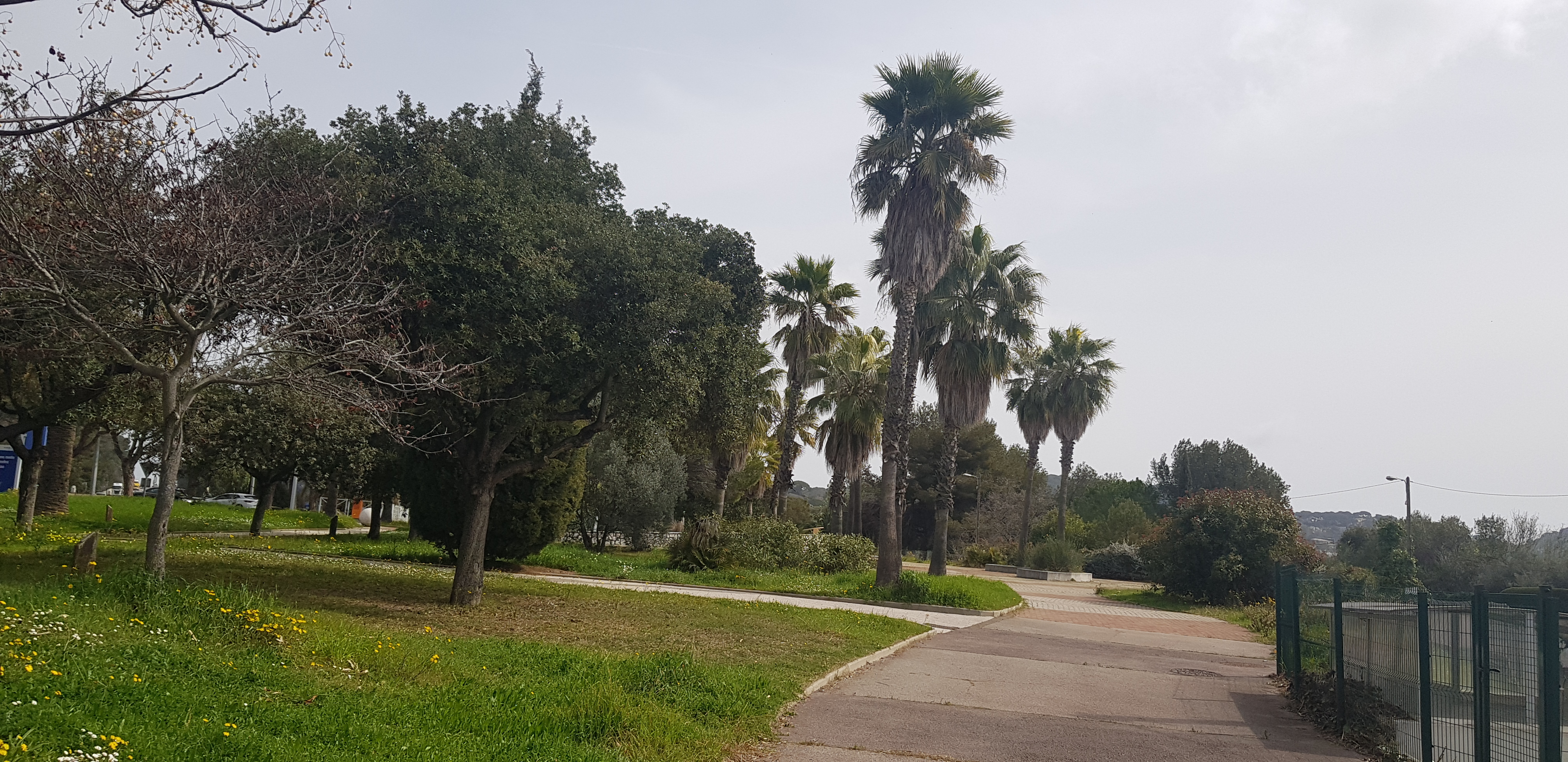 Photo n° 5 de l'avis de Klato.e fait le 10/04/2022 à 18:43