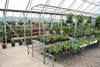 Schmalz Custom Landscaping - Photo 5 - Car repair in Appleton, WI, Appleton