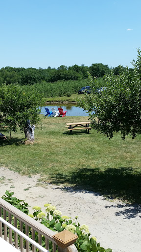 Winery «Nashoba Valley Winery», reviews and photos, 100 Wattaquadock Hill Rd, Bolton, MA 01740, USA