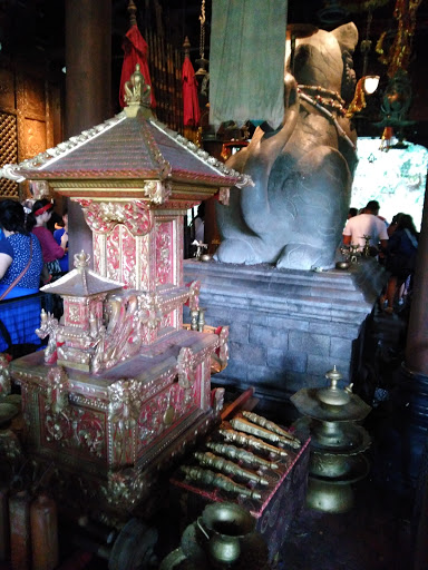 Tourist Attraction «Kali River Rapids», reviews and photos, Asia, Kissimmee, FL 34747, USA