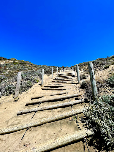 Sand Ladder